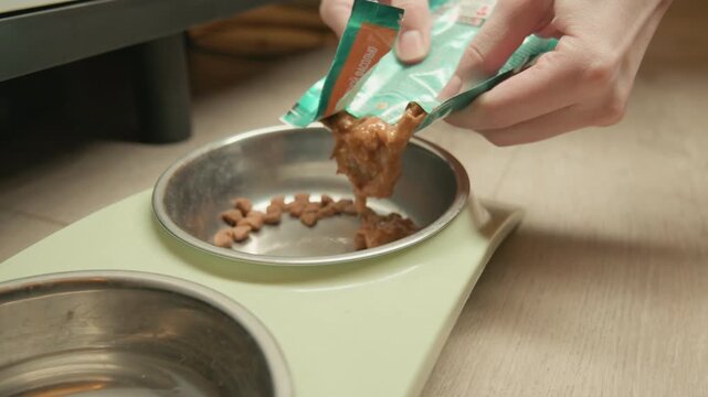 Close-up low-angle view of hands opening green sachet and pouring wet pet food into stainless bowl inside light green elevated feeder on wooden floor, beside water bowl, with natural indoor light