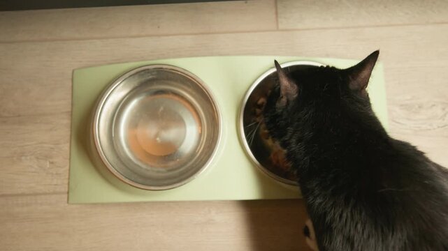 Glossy black cat lowers head to eat from food bowl on pale rectangular placemat while empty stainless water bowl rests nearby over light wood floor, showing calm domestic feeding motion from above
