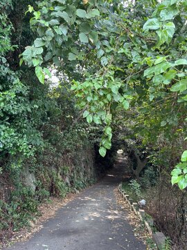 緑の木々に覆われた細い坂道の小径
