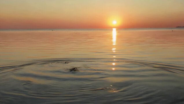 Soothing 4K meditation video capturing a brilliant golden hour sunburst casting shimmering light ripples across the gentle undulating wavelets of a tranquil ocean bay