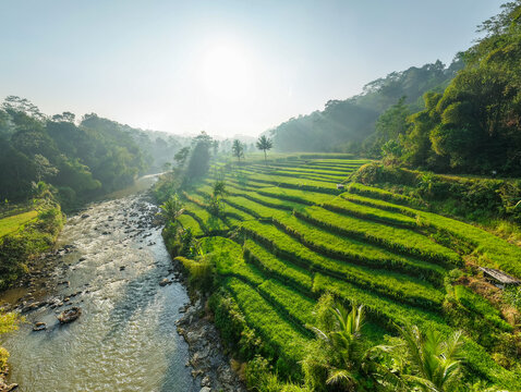 Aerial view of lush green rice terraces cascading down a hillside next to a flowing river under bright morning sunlight in Indonesia.