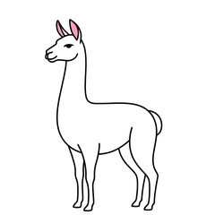 Naklejka premium White Llama Illustration