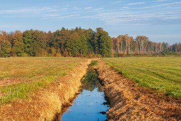 Daleko od szosy - Podlasie,, Polska © podlaski49