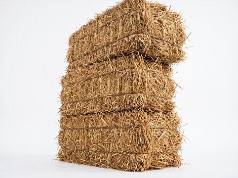 Large stack of rectangular golden hay bales neatly arranged against a seamless white background in studio lighting.