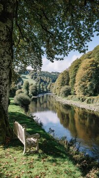 River scene with a park bench under trees.