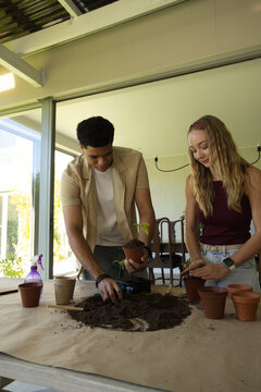 Couple planting seedlings on covered patio table with potting soil, terracotta pots, trowel