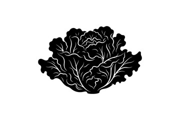 Obraz premium Black and white cabbage illustration: botanical art with detailed leaf patterns.