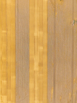 Aerial view of agricultural fields with golden wheat and harvested crops showing distinct tractor tracks and geometric patterns in Jaunberze Parish, Dobele Municipality, Latvia.