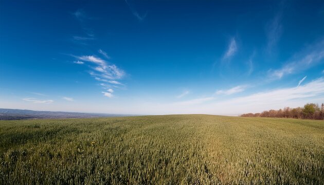 vivid blue sky with no clouds a boundless and serene sight vivid open