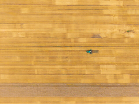 Aerial view of a combine harvester in a large agricultural field with golden stubble patterns in Latvia.