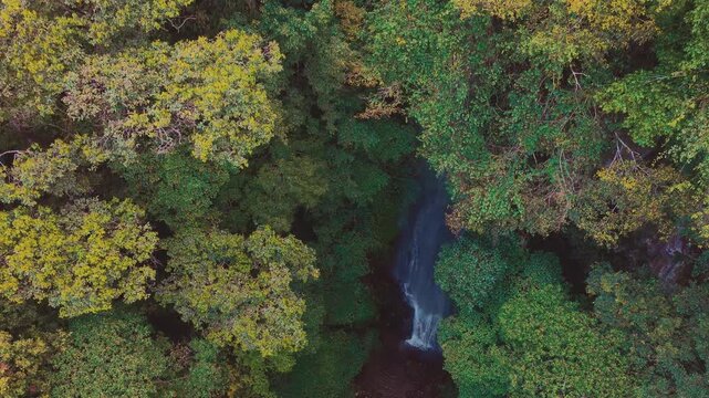 Aerial drone view of Coban Kaca waterfall flowing through dense tropical forest in Malang, East Java, Indonesia. The narrow waterfall cascades between lush green trees, creating a peaceful and seclude