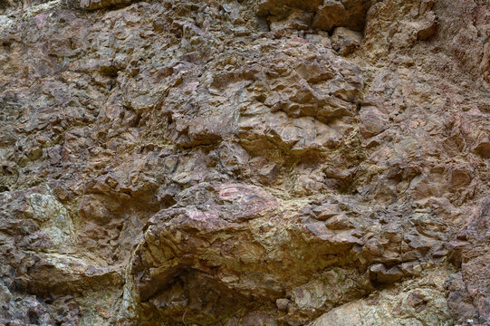 Exploring the intricate textures of a rocky surface in a serene outdoor setting