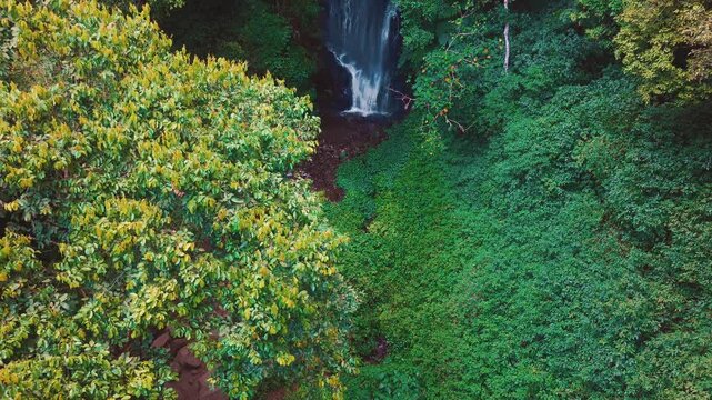 Aerial drone view of Coban Kaca waterfall flowing through dense tropical forest in Malang, East Java, Indonesia. The narrow waterfall cascades between lush green trees, creating a peaceful and seclude
