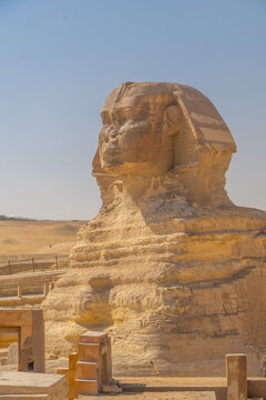 The Great Sphinx in Giza, Cairo, Egypt