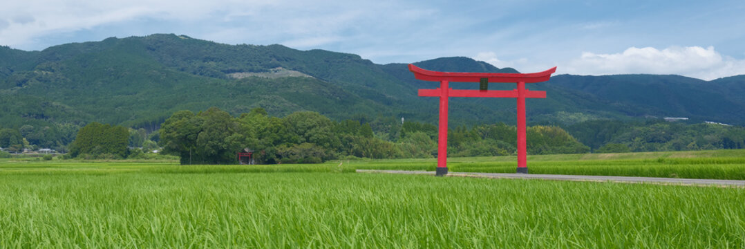 Panoramic view of a red torii gate standing in a lush green rice field with mountains in Japan