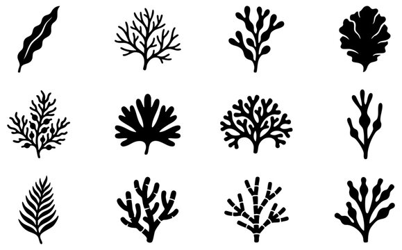 Collection of stylized seaweed silhouettes on white background