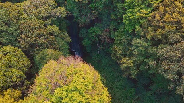 Aerial drone view of Coban Kaca waterfall flowing through dense tropical forest in Malang, East Java, Indonesia. The narrow waterfall cascades between lush green trees. 