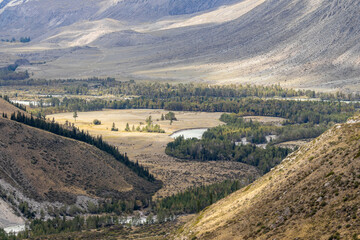 Naklejka premium Scenic view of wild Argut river valley in Altai mountains, Russia. Beautiful autumn landscape with winding glacier river, forest woods, canyon gorge hills and yellow steppe wilderness photo