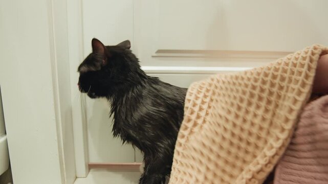 Soaked black and white cat with slick wet fur and flattened ears is held and wrapped in beige waffle towel by person in pink ribbed sleeve near closed white door, showing tense drying movement indoors