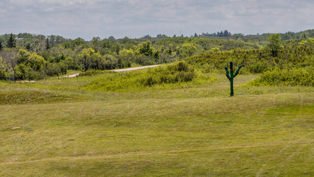 Winding Rural Road with Dense Green Woodland, Rolling Hills and Open Grass Field with an Artificial Saguaro Cactus which is a Part of Pike Lake Provincial Park Sand Greens Golf Course .