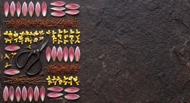 Top down view of South African Cape Fynbos protea and floral tools on sandstone