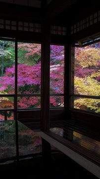 Colorful maple trees surrounding historic Buddhist temple during autumn season in Kyoto, Japan.