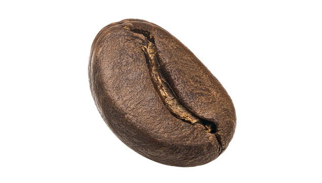 Macro Studio Shot of a Single Roasted Coffee Bean 29 Isolated on White