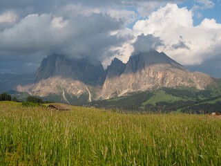 Fototapeta premium Dramatic landscape of Alpe di Siusi with green alpine meadows and iconic Dolomite peaks illuminated by warm evening light beneath dark clouds in the Italian Alps. Popular view in the Dolomites, Italy.