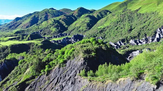 Aerial view of the grey stone forest surrounded by lush green mountain valleys in Moshi Park, Sichuan, China