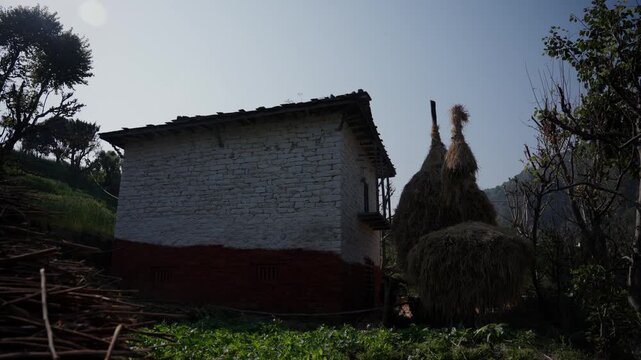 Traditional whitewashed stone farmhouse beside tall stacked haystacks and a firewood pile under a clear blue sky in a rural Himalayan village