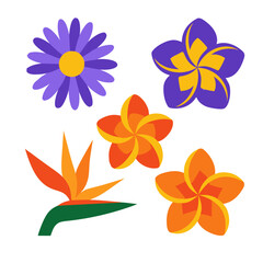 Fototapeta premium Colorful Tropical Flower Illustration Collection