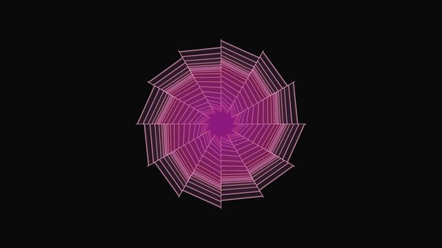Rotating magenta spider web pattern animation with complex geometric lines moving against a dark black background