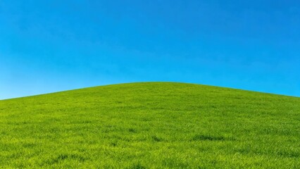 Obraz premium Minimalist Grassy Hill Horizon, Expansive Blue Sky.