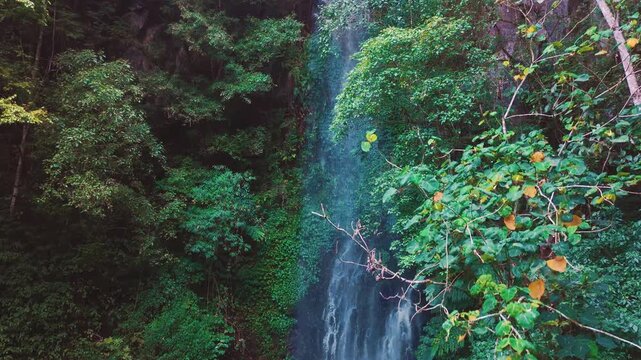 Aerial drone view of Coban Kaca waterfall flowing through dense tropical forest in Malang, East Java, Indonesia. The narrow waterfall cascades between lush green trees. 