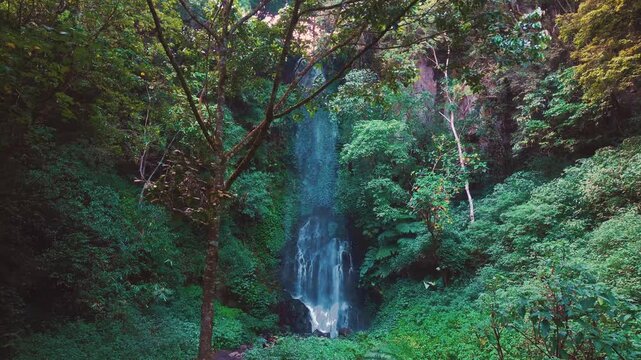 Aerial drone view of Coban Kaca waterfall flowing through dense tropical forest in Malang, East Java, Indonesia. The narrow waterfall cascades between lush green trees. 