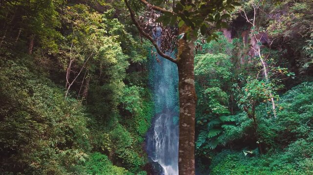 Aerial drone view of Coban Kaca waterfall flowing through dense tropical forest in Malang, East Java, Indonesia. The narrow waterfall cascades between lush green trees. 