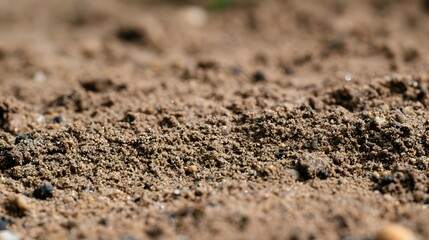 Naklejka premium Close up of textured sandy soil surface under natural sunlight with scattered small pebbles and subtle moisture highlights