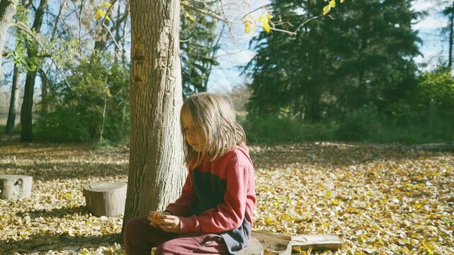 Boy sitting on a tree stump in an autumn park looking at camera pensively