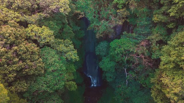 Aerial drone view of Coban Kaca waterfall flowing through dense tropical forest in Malang, East Java, Indonesia. The narrow waterfall cascades between lush green trees. 