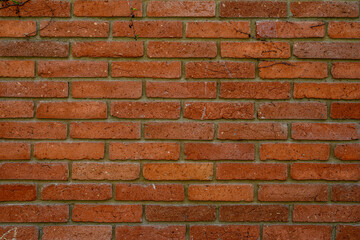 Fototapeta premium Red brick wall texture background close up