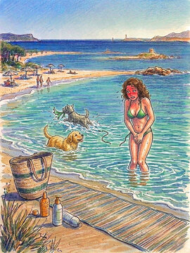 Il cucciolo dispettoso e il bikini in pericolo 271437