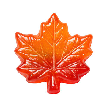 PNG Vibrant autumn maple leaf illustration.