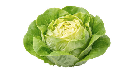 Fresh Green Lettuce PNG on Transparent Background for Salad Cooking and Healthy Food © StockLine Studio