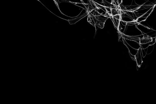 Tangled spider's web on isolated black background for Halloween design. White cobweb for applying in screen blend mode on any concept
