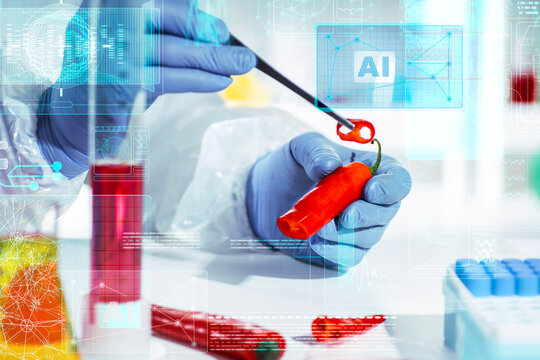AI data overlay supports gloved inspection of red chili pepper slices in a smart food laboratory, blurred background, for automated grading and capsaicin analytics.