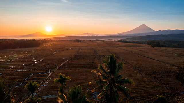 Aerial view of rice fields at sunrise with the volcanic Mount Inerie in the background and palm trees in the foreground in Bajawa, Nusa Tenggara Timur, Indonesia.