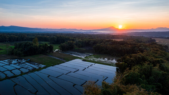 Aerial view of rice paddies reflecting the sunrise with lush forest and distant mountains in the background in Bajawa, Nusa Tenggara Timur, Indonesia.