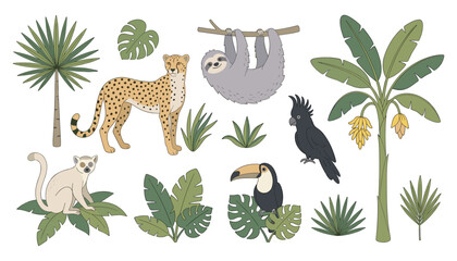 Naklejka premium Tropical Jungle Wildlife Vector Set Featuring Cartoon Sloth, Cheetah, Lemur, Toucan, and Exotic Banana Palm Trees for Safari Nature Children Book Illustrations