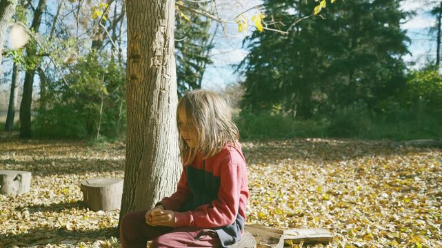 Boy spinning with arms outstretched in a backlit autumn meadow near spruce trees
