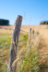 Naklejka premium Wooden fence with barbed wire for livestock protection on a farm. Vertical photo. Summer countryside landscape with blurred fields and meadows.